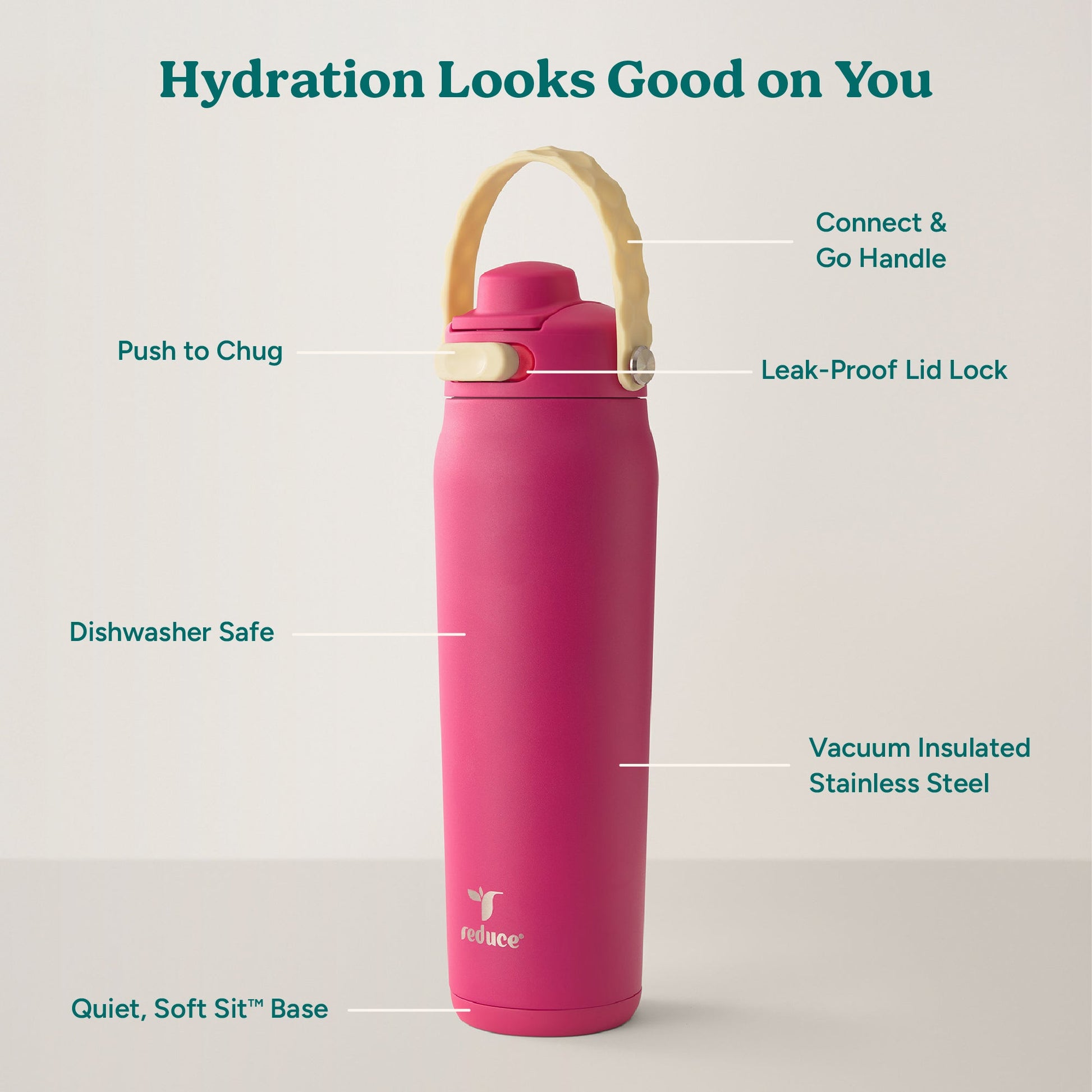 aura-26-oz-b2 Aura_26oz_DragonFruit_PDP_Infographic_2-03.jpg