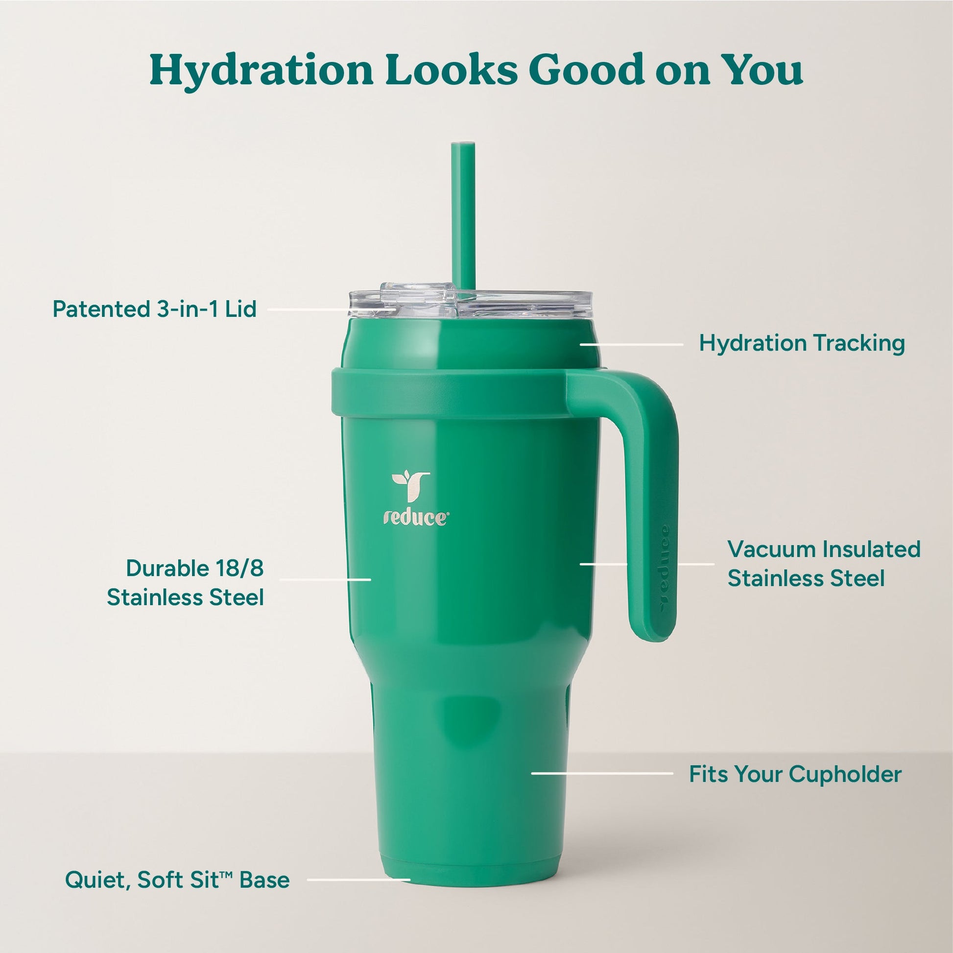 cold1-40-oz-y9 Cold1_40oz_PalmLeaf_Infographic_2.jpg