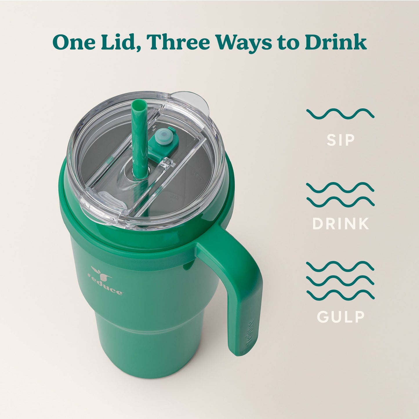 cold1-40-oz-y9 Cold1_40oz_PalmLeaf_Infographic_3.jpg