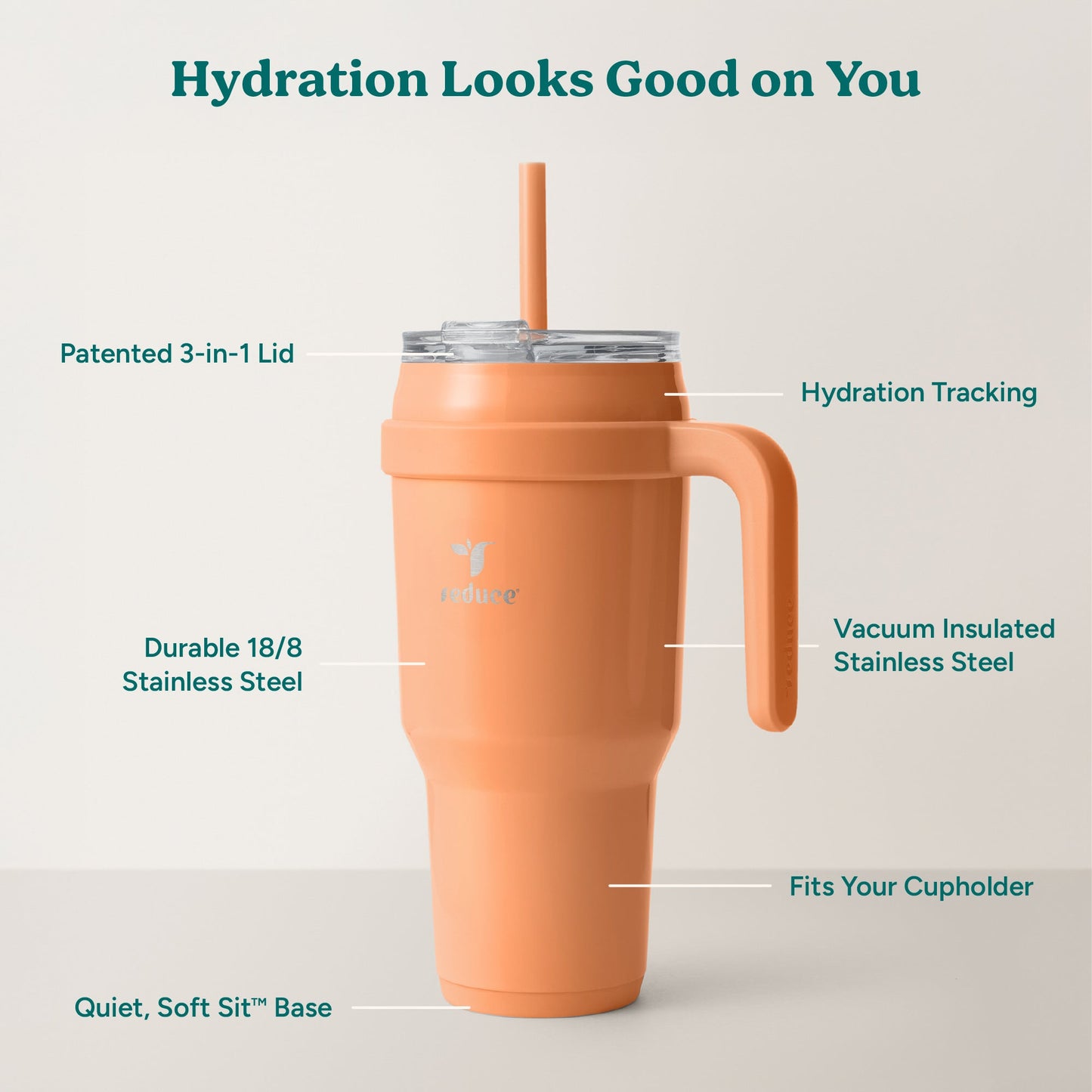 cold1-40-oz-y9 Cold1_40oz_Papaya_Infographic_2.jpg