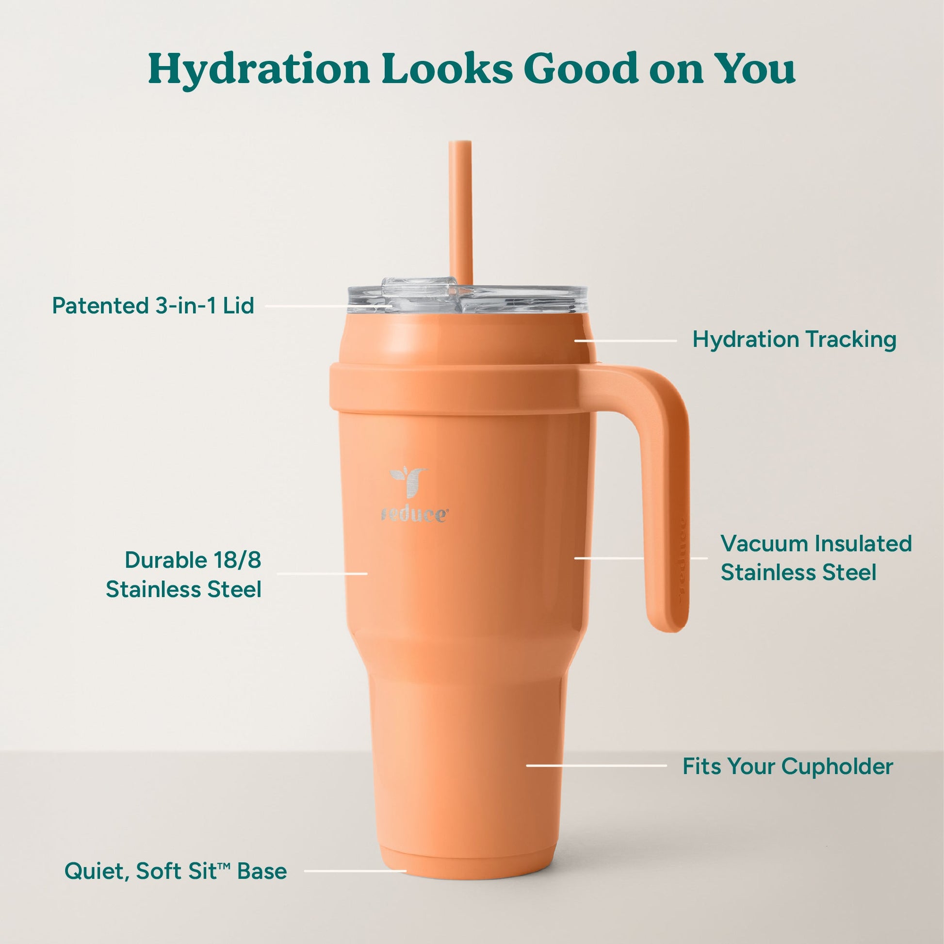 cold1-40-oz-y9 Cold1_40oz_Papaya_Infographic_2.jpg