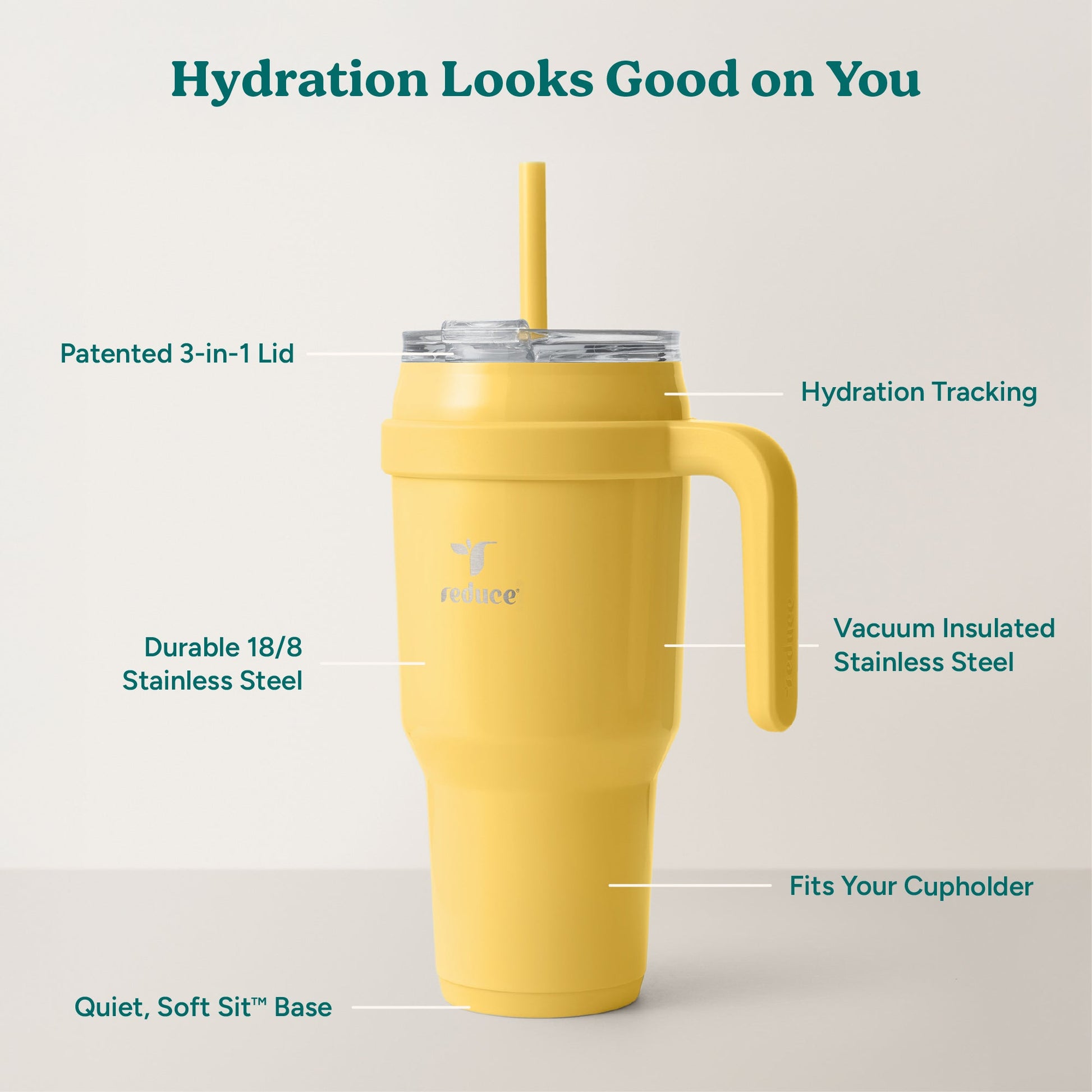 cold1-40-oz-y9 Cold1_40oz_Pineapple_Infographic_2.jpg